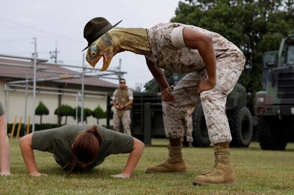 3. Когда твой командир - игуана