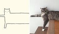 Эти 20 забавных рисунков полностью доказывают, что кошки могут принять любую форму. И даже жидкую!