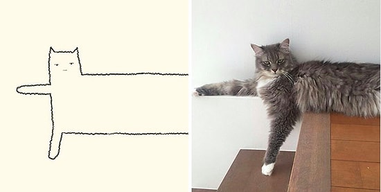 Эти 20 забавных рисунков полностью доказывают, что кошки могут принять любую форму. И даже жидкую!