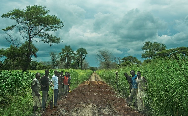 2. Малави - 99%