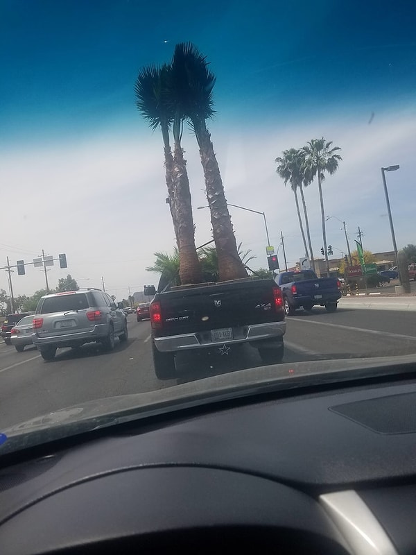 7. "Подвезу! Дорого не возьму! С пальмами, так с пальмами" 😄