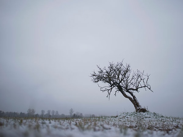 5. В какой местности человеку труднее всего выжить?