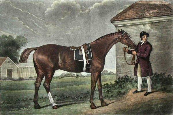 3. Safkan yarış atlarının yaklaşık %95'inin soyu tek bir ata kadar takip edilebilir. 1764'te bir tutulma sırasında doğduğu için adı Eclipse (Tutulma) olan bu at o kadar başarılıymış ki, insanlar diğer atların üzerine bahis oynamadığı için emekli olmuş.