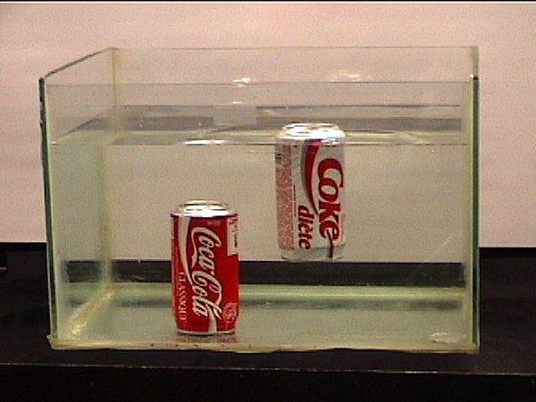 16. Diyet bir kola suyun yüzeyinde kalırken, normal kola batar.