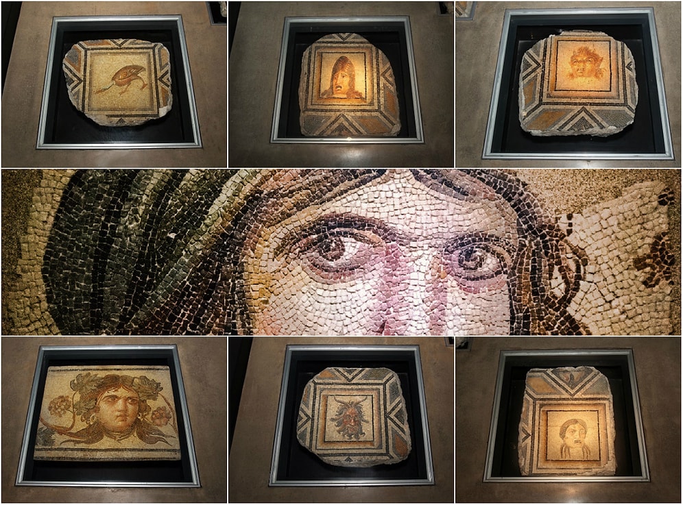 58 Yıl Sonra Yuvaya Dönüş! ABD'deki Zeugma Mozaiklerine Ait 12 Parça Türkiye'ye Getiriliyor