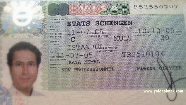 10. Diyelim ki Euro'nun karşısına cengaver gibi dikildiniz ve Avrupa ülkesine gitmek istediniz. Buyrun size bir adet Schengen vizesi!