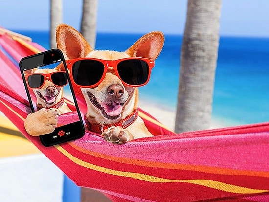 Takipçi Sayınızı Artırmasa da Keyfinizi Yerine Getirecek Filtresiz 20 Instagram Testi