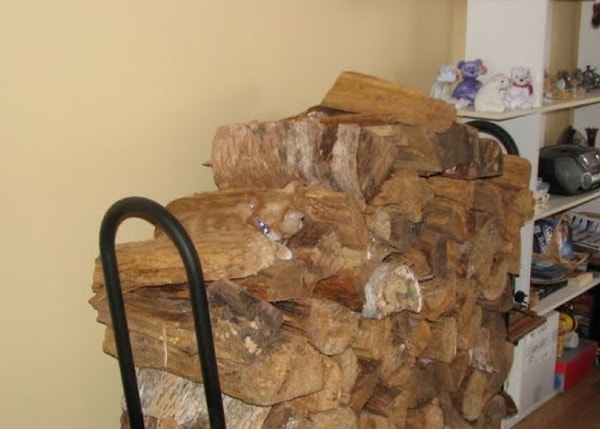 5. Что насчет этого снимка?