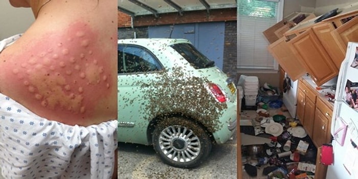 "Dünyanın En Şanssız İnsanıyım" Diyorsanız Bu Fotoğrafları Görünce Fikriniz Değişecek