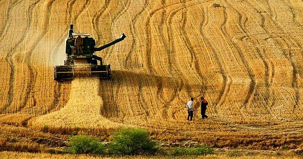 Öte yandan İsrail Tarım Bakanı Uri Ariel, Türkiye'den tarım ürünleri ithalatını dondurduğunu açıkladı.