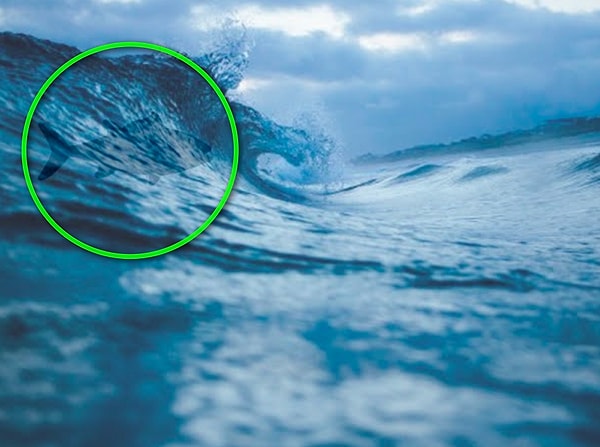 Показать правильный ответ