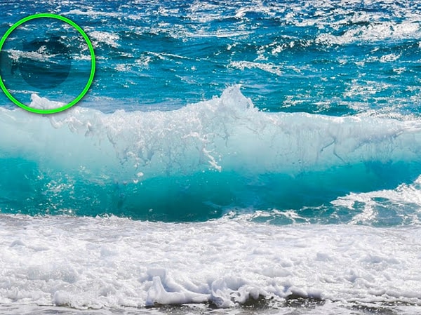 Показать правильный ответ