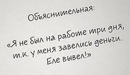 13 уморительных объяснительных от людей, которые знают толк в троллинге