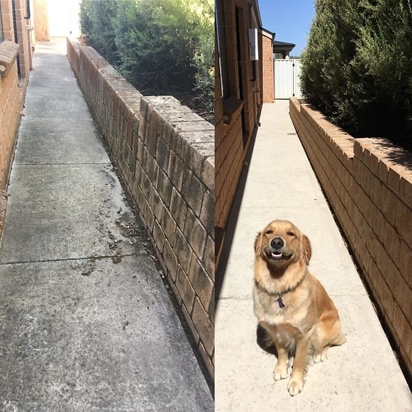 1. Эта аллея никогда не выглядела лучше!