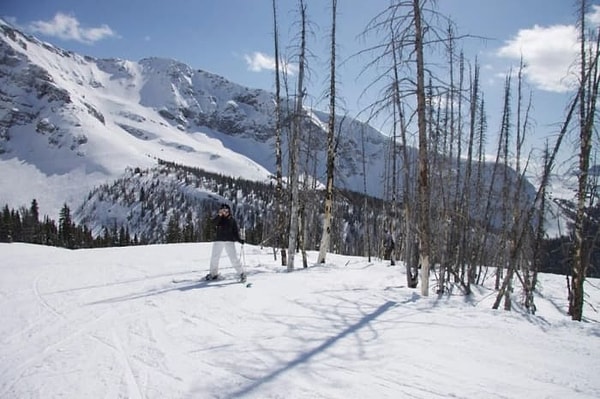 12. Там кто-то есть? Или только кажется? 😃