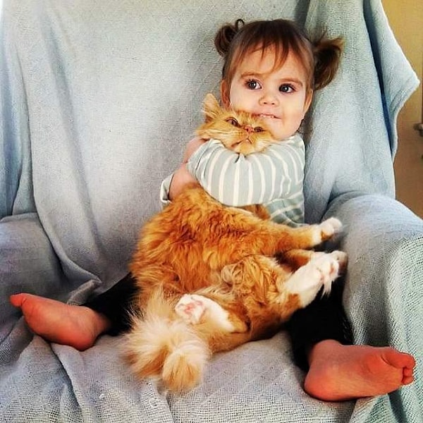 6. Что скажете насчет этого глагола?