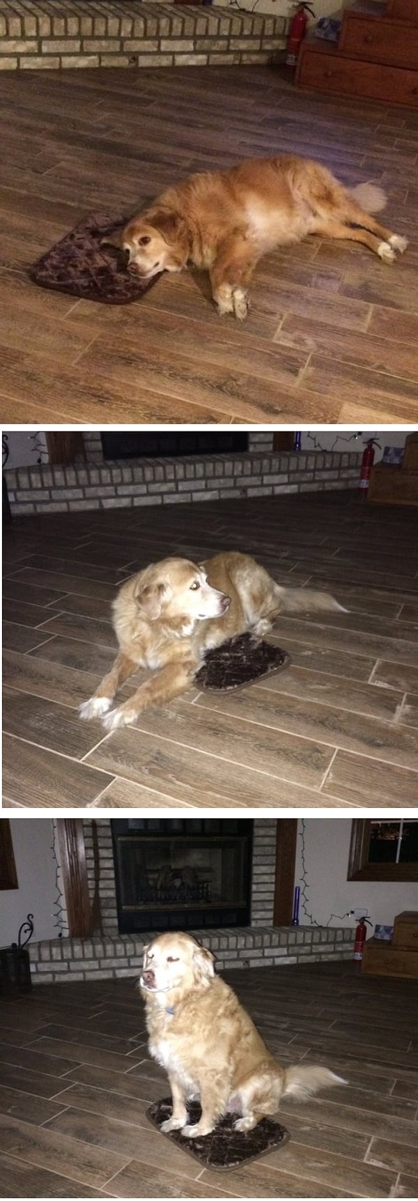 3. Когда твой коврик размера XS...