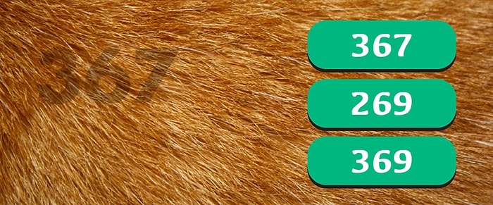 Тест: У вас орлиный глаз, если сможете набрать 8 правильных ответов!