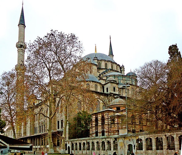 Şu sıralar yine benzer bir katliama imza atıldı. İstanbul'daki Fatih Camisi'nin avlusundaki ağaçlar kesildi.