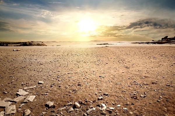 6. Если вы когда-нибудь переворачивали ногой камень, то это мог быть первый раз за миллионы лет, когда обратная сторона этого камня "увидела" солнечный свет.