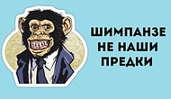 «Ничего себе!»: 12 лживых фактов, в которые мы верили всю свою жизнь