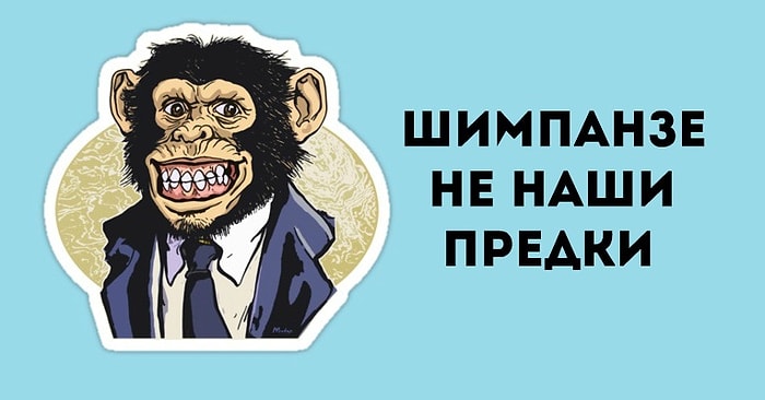 «Ничего себе!»: 12 лживых фактов, в которые мы верили всю свою жизнь