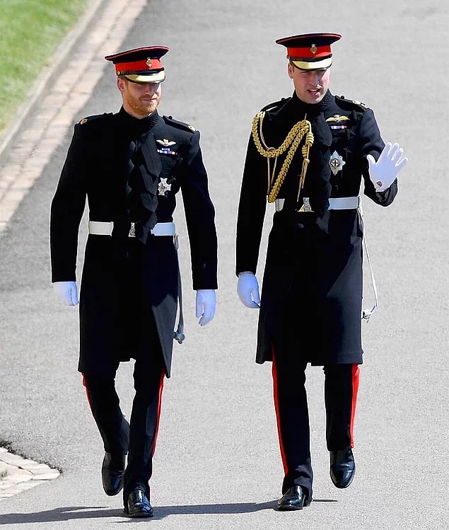 Bonus 2: Prens Harry ve Prens William