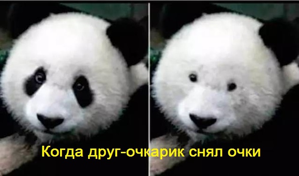 15 настолько жизненных моментов, что вы устанете кивать головой от согласия 😆