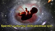 Kafalardaki Soru İşaretlerini Siliyor, Sizi Bir Dertten Daha Kurtarıyoruz: Uzayda Bebek Doğabilir mi?