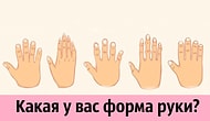 Китайская хиромантия: узнайте, какая у вас форма руки и что это значит