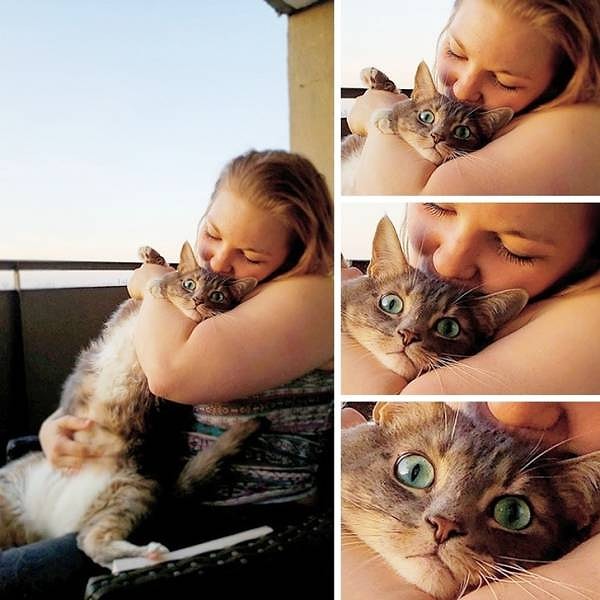 4. "Сфотографировал свою девушку с нашей кошкой"