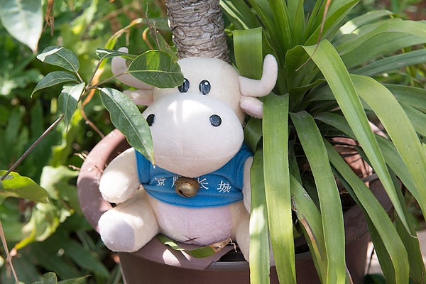 25. Китай, доход семьи на одного взрослого — $10 098 в месяц, любимая игрушка — плюшевый бегемот