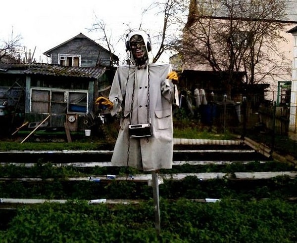 5. Тут не то что у ворон, даже у соседей может случиться инфаркт при виде такого чучела.