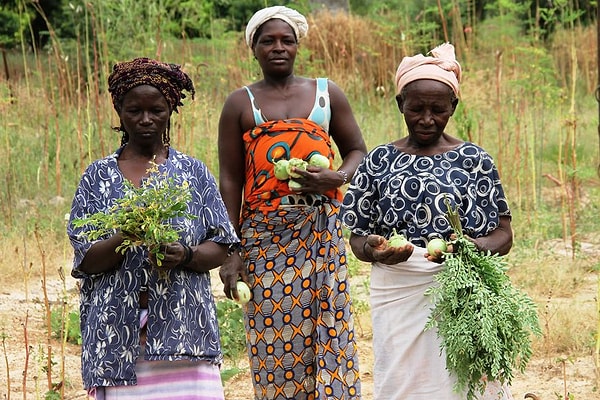 6. В этом государстве живут только "честные люди". По крайне мере, такой вывод можно сделать из его названия.
