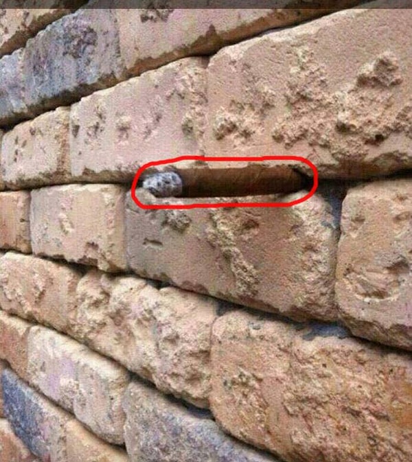 Посмотреть правильный ответ: