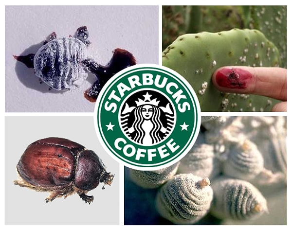 Вот почему Starbucks снял с продажи тот продукт, в котором использовался кармин.