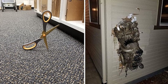 14 умельцев, которые не растерялись и в нестандартной ситуации смогли заснять ОЧЕНЬ редкий кадр