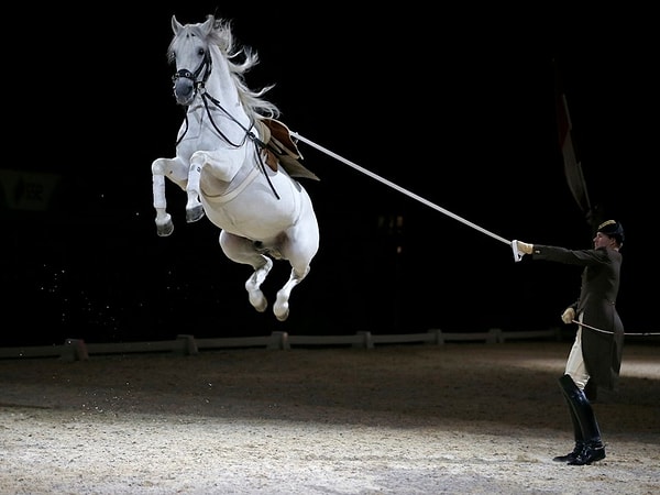 28. Вена, Австрия — 2.425$