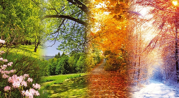 10. Какой композитор написал легендарные "Времена года"?