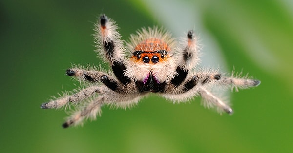 3. Ехууууу!!!