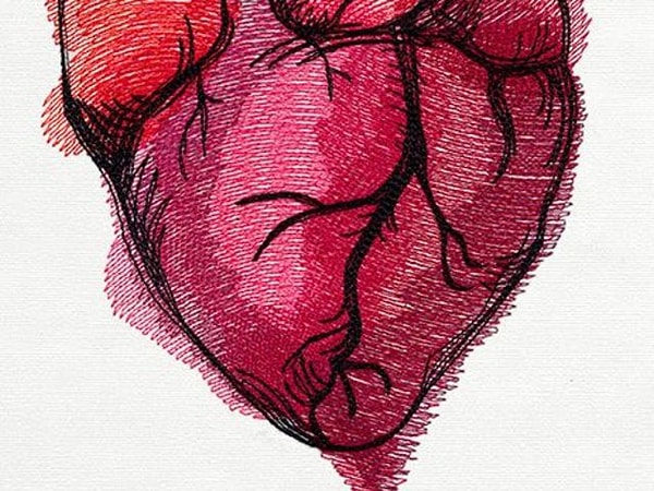 2. У женщин сердце бьется быстрее, чем у мужчин, но у мужчин чаще случается...