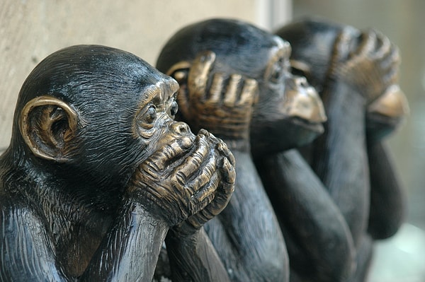 11. Если кто-то называет нам факты, противоречащие нашим убеждениям, мы отказываемся их слышать