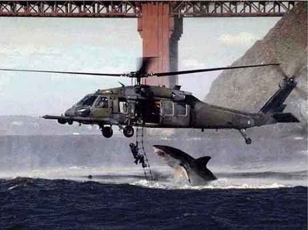 1. Что думаете об этом фото?