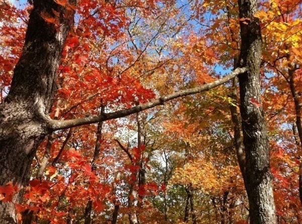 18. Вот это "мостик"!!!