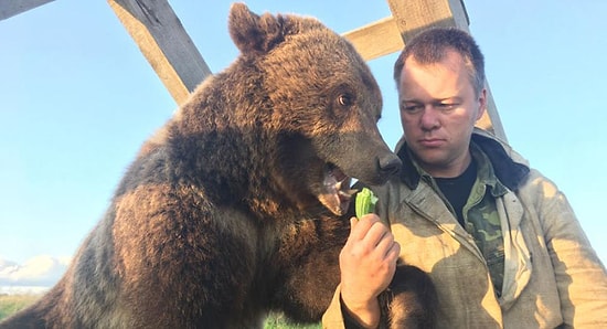 Havaalanında Yaşayan Sevimli Ayı Mansur'un Gülümseten Hikayesi