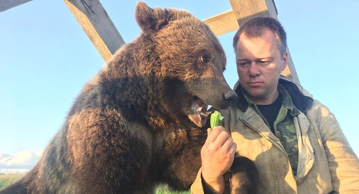 Havaalanında Yaşayan Sevimli Ayı Mansur'un Gülümseten Hikayesi