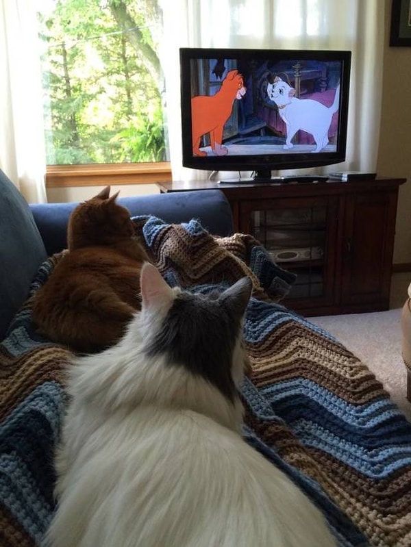 3. Почти идеальное совпадение