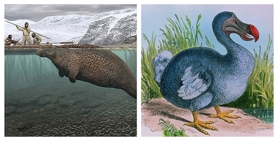 Черная книга: Тест на знание вымерших животных