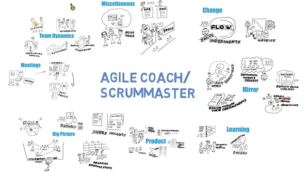 6. Agile (çeviklik) koçu