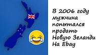 Забавные факты, которые помогут вам проходить наши тесты на общие знания